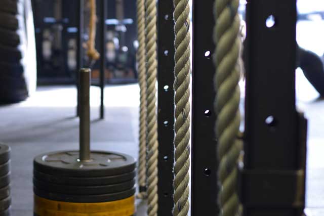 Ropes and gym equipment